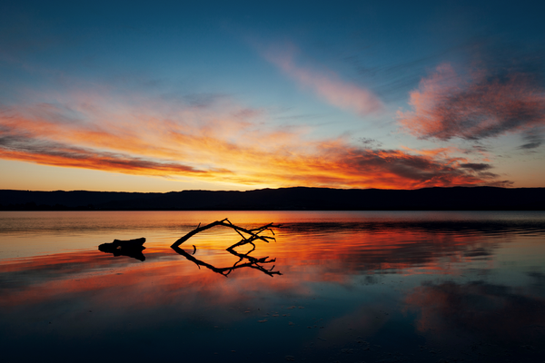 Lake Illawarra