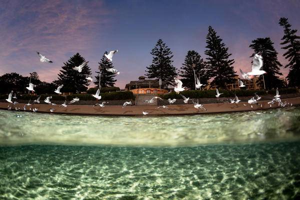 Wollongong Harbour