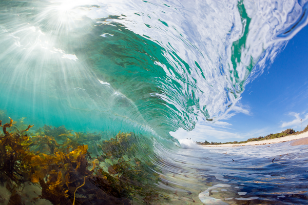 Shellharbour North Beach