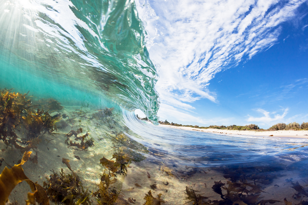 Shellharbour North Beach