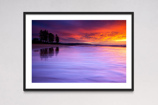 North Beach Pines