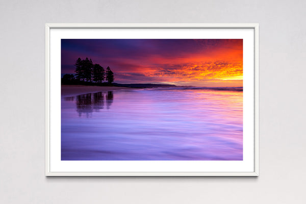 North Beach Pines