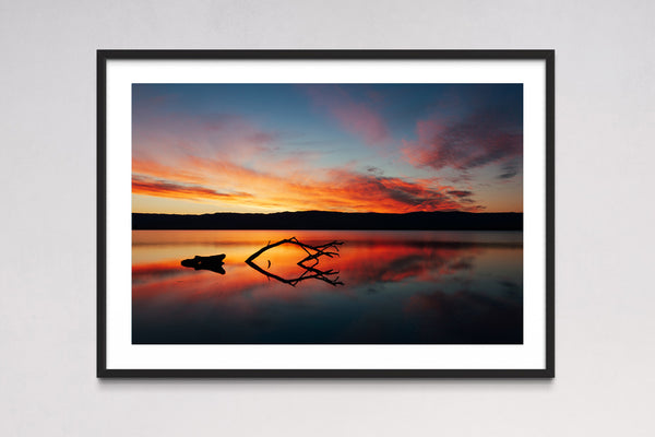 Lake Illawarra