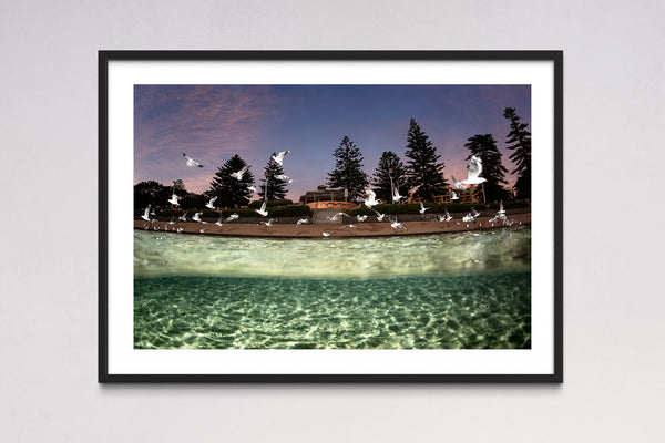 Wollongong Harbour