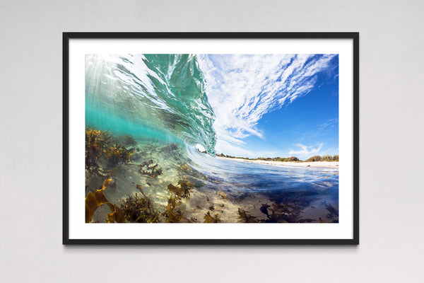 Shellharbour North Beach