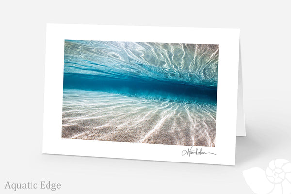 Ocean Art Collection (Pack of 5)