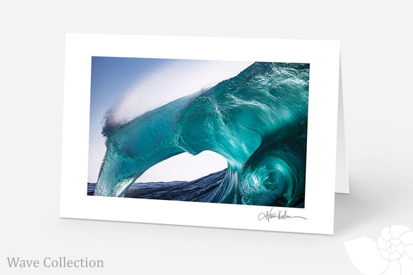 Wave Collection (Pack of 5)